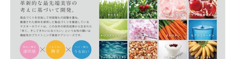 �}�X�^�[�z���C�g���T�C�g